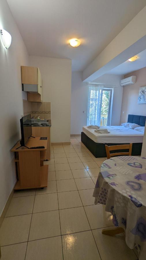 Apartments Vesna Gradac  Rom bilde
